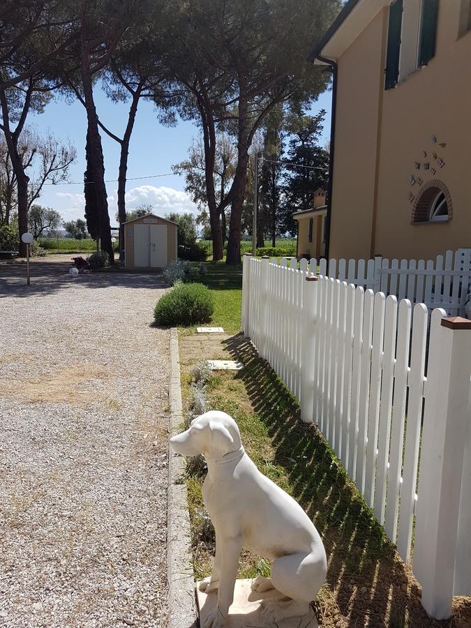 Casa Vacanze Vignarca - Localita Perelli 리오토토 외부 사진